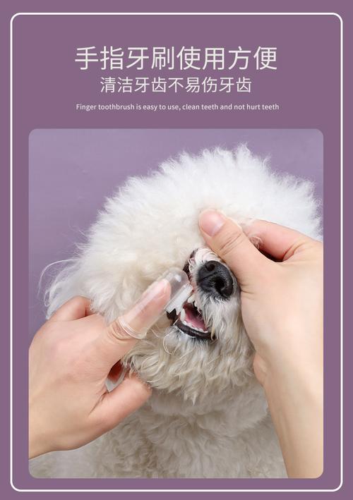宠物牙膏套装 为爱宠口腔健康保驾护航